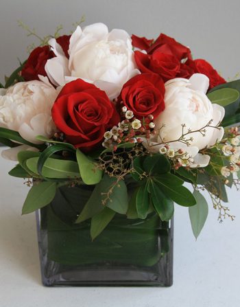 Peony & Rose Marriage