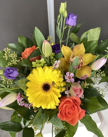 Colours of Spring