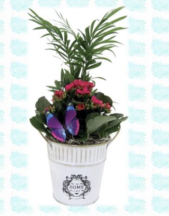 Country Tin Garden