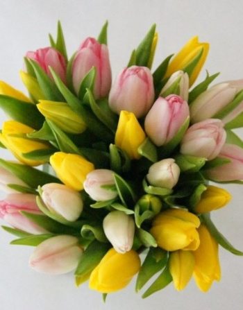 Flowers of Springtime