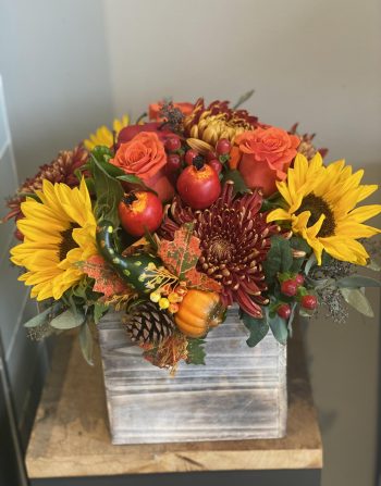 Box of Autumn