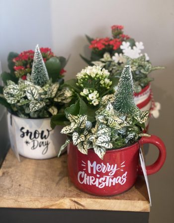 Christmas Planter Mug