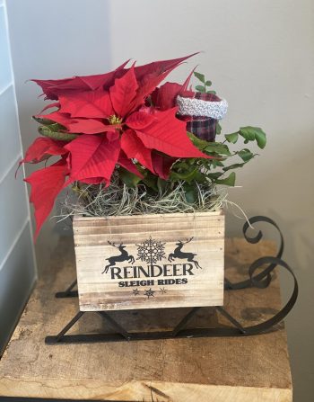 Reindeer Sleigh