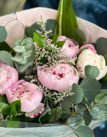Ballet Peony