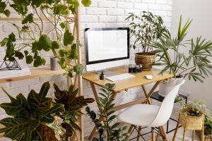 high-angle-interior-design-with-many-plants