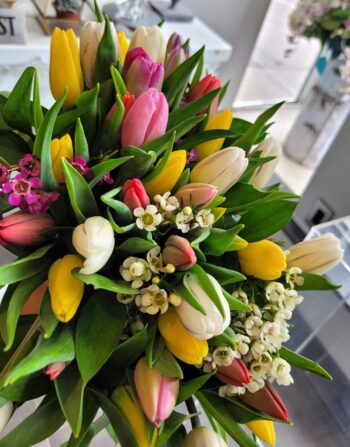 Assorted Hand-Tied Tulips Bouquet (24)