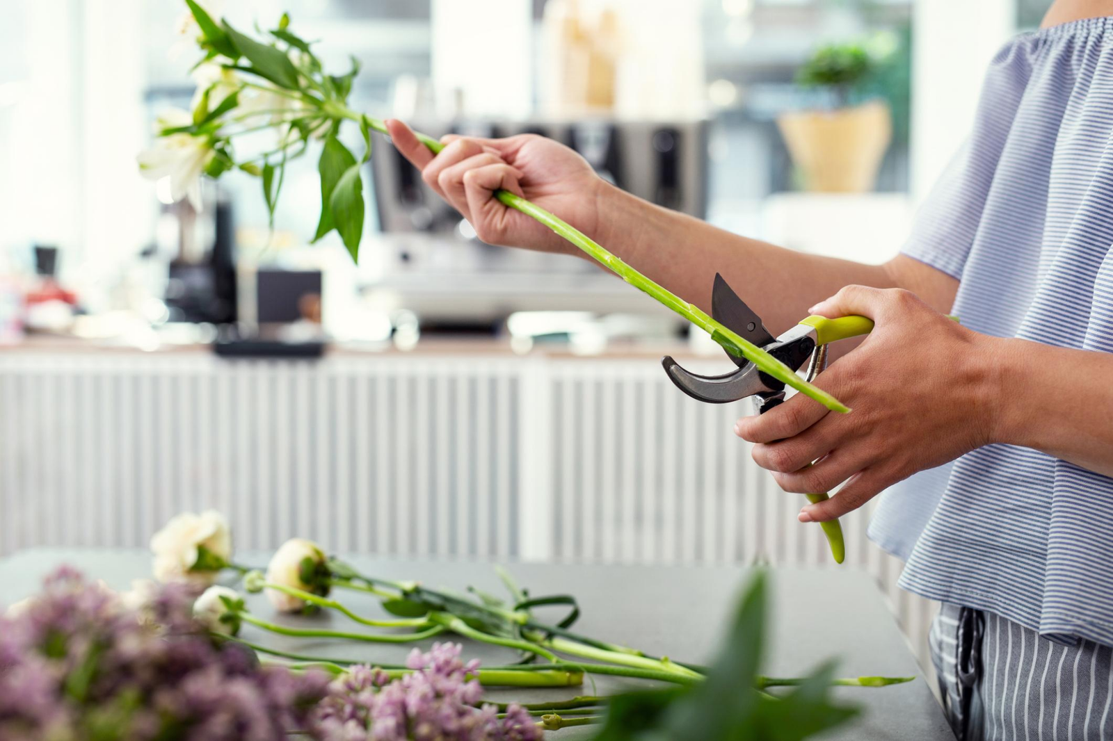 How Long Do Fresh Flowers Last? Complete Care Guide (Mississauga Florist Tips)