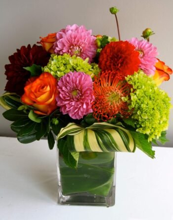Dahlia Orchard